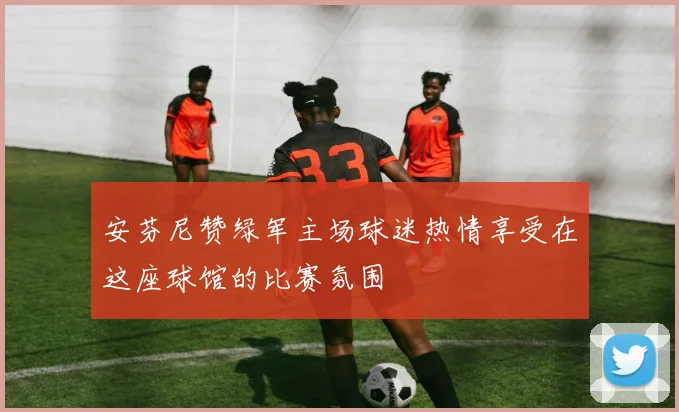 安芬尼赞绿军主场球迷热情享受在这座球馆的比赛氛围