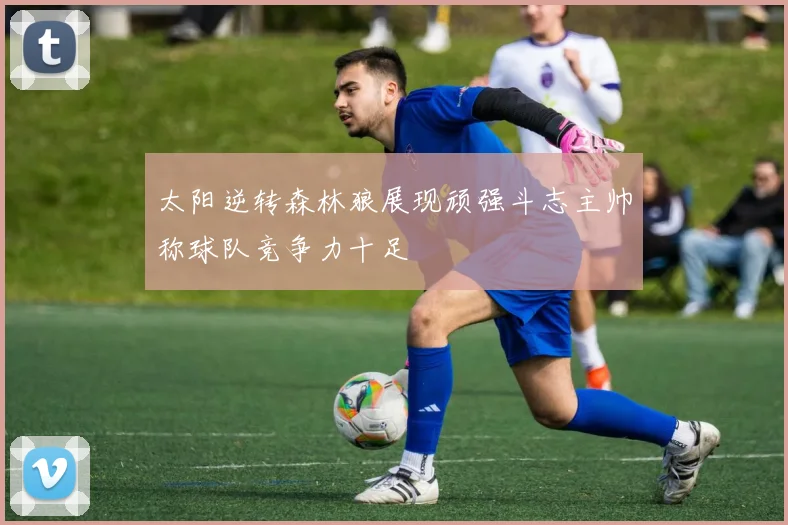 太阳逆转森林狼展现顽强斗志主帅称球队竞争力十足