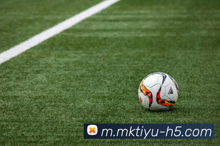 MK体育APP 体育赛事宣传图